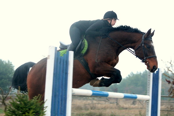 Zoom! ;)