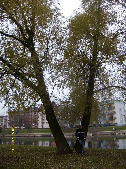 ... pitek 13 ...