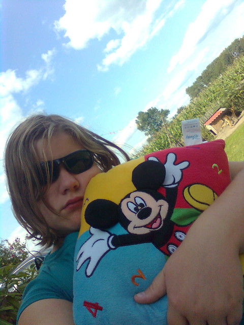 dla sandry