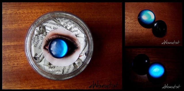 The Eyes Of the Night