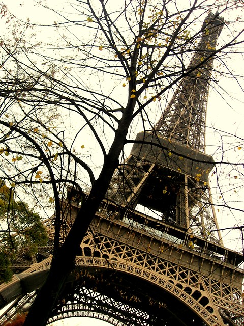 La Tour FL.