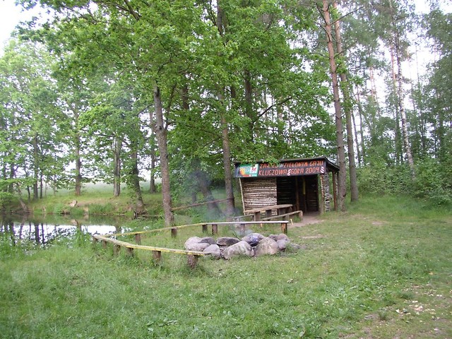 Szara rzeczywisto .