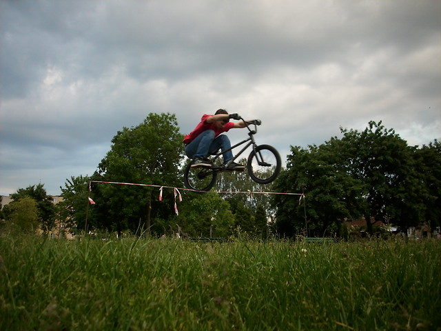 fly