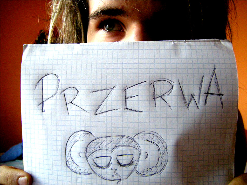 Przerwa