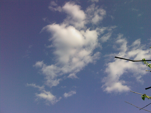 HaPpY!