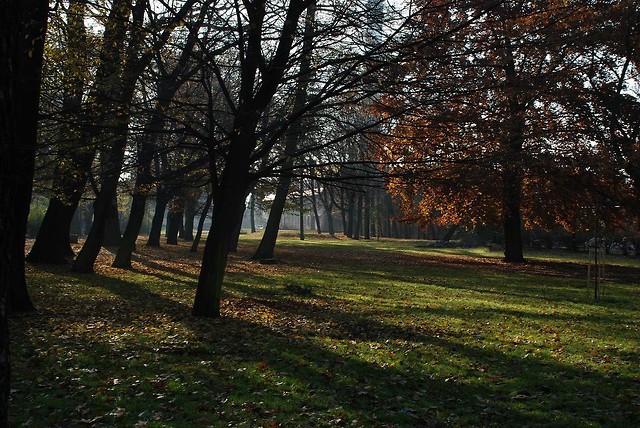 zaczarowany ogrd