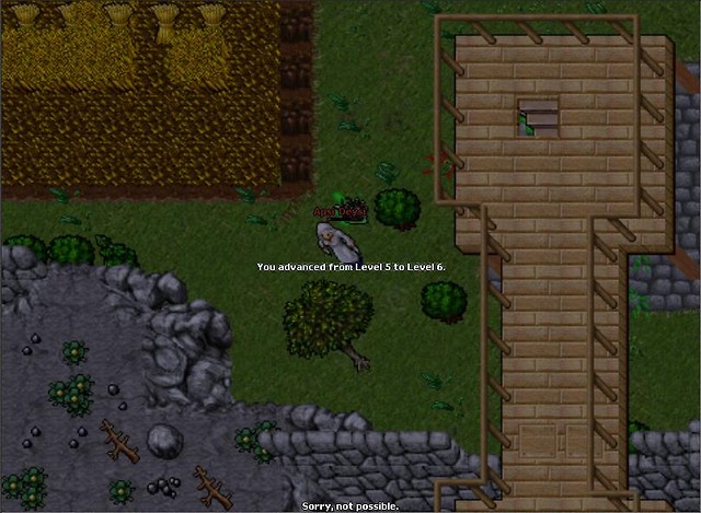 Advenced from Level 5 to Level 6