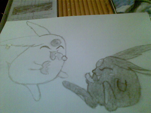 A mokona dalej...