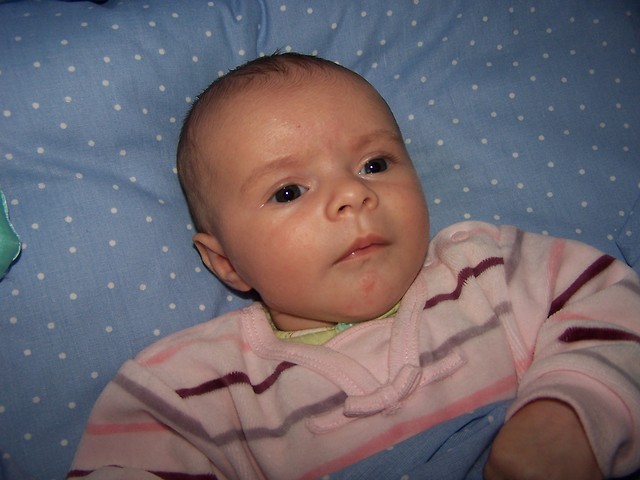 Antosia
