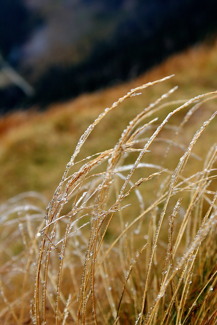 wind of changes... 