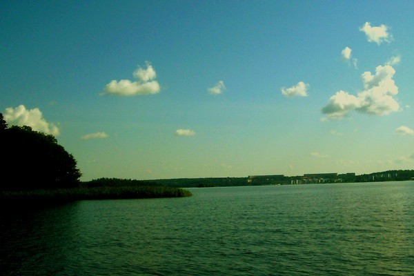 Potwr z Lochness .