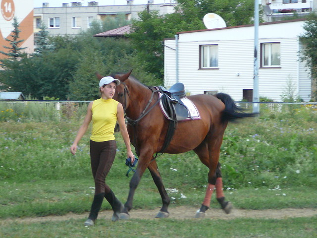 mj cay wiat... (jakie 600kg)