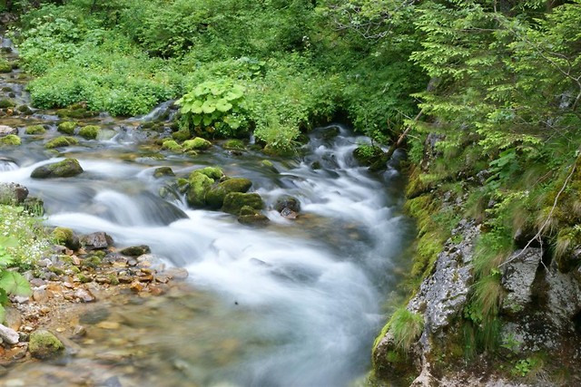 Strumien