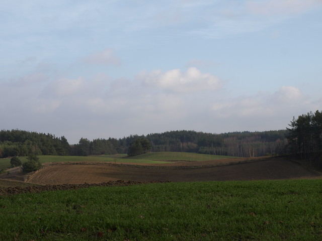 Kierunek duszy