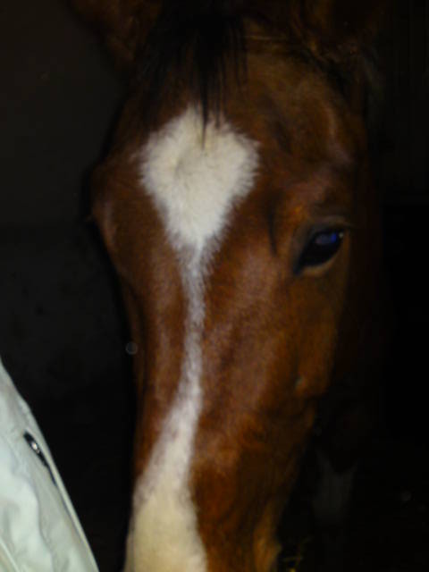 LukasOwy !! < 33