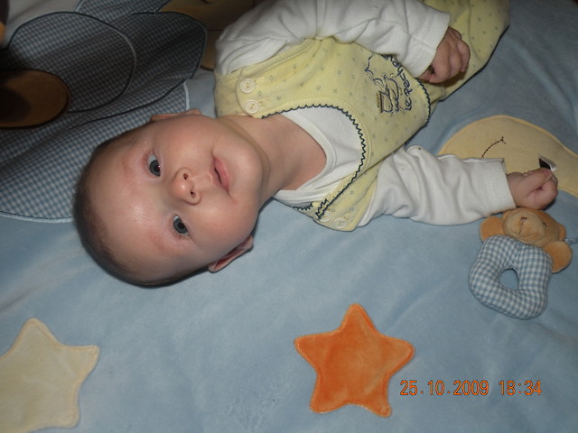 Kubu . < 3