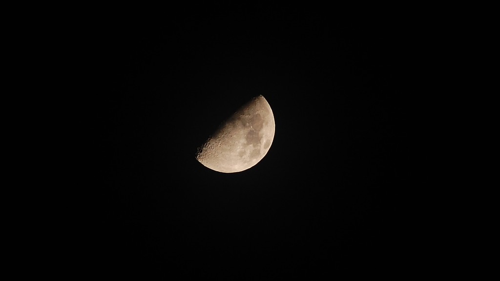 Terra moon