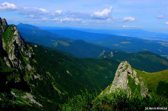 Panorama