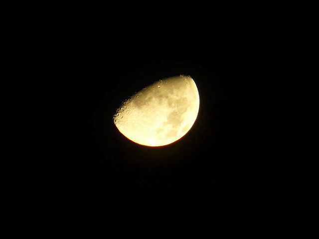 Moon