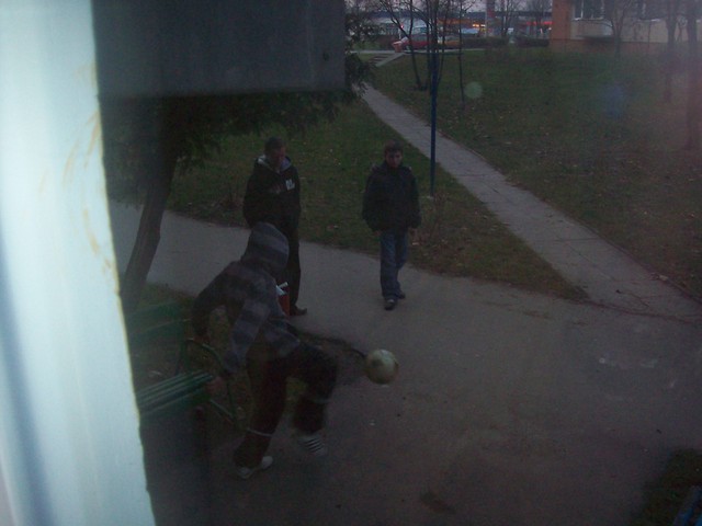 hahaha... nasze downy z pod blok