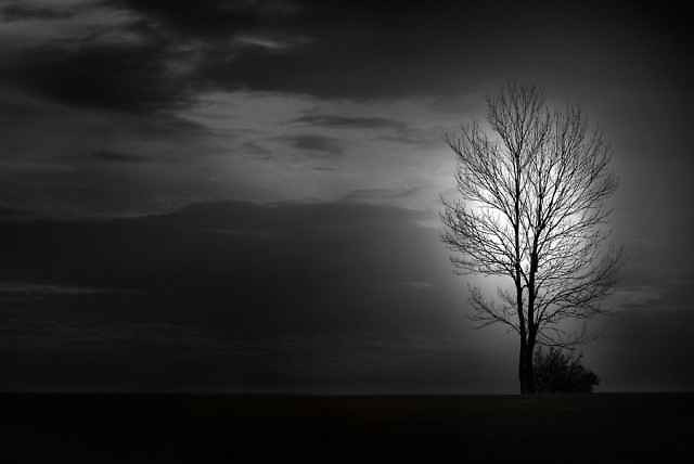 I want to feel and see y..