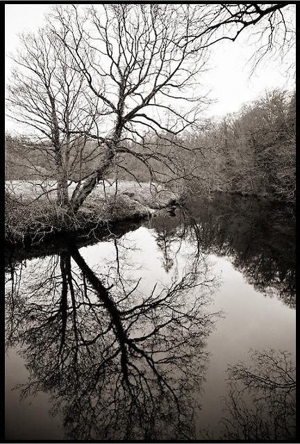 refleksje.