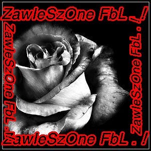 ZAWIESZONE FBL > !