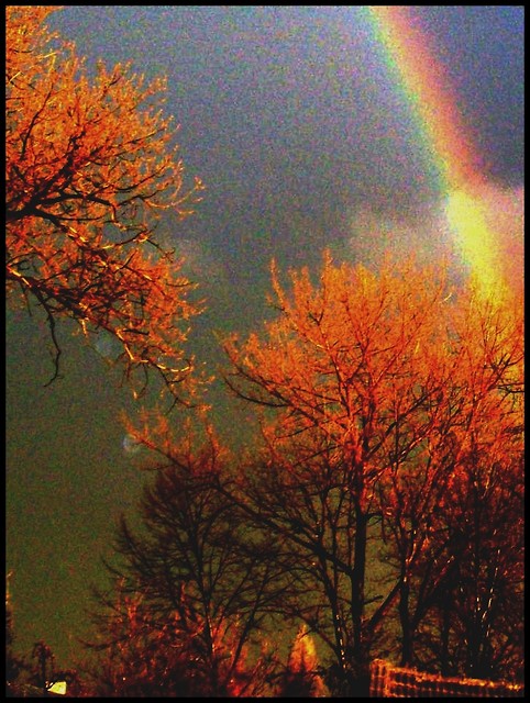Magic trees.