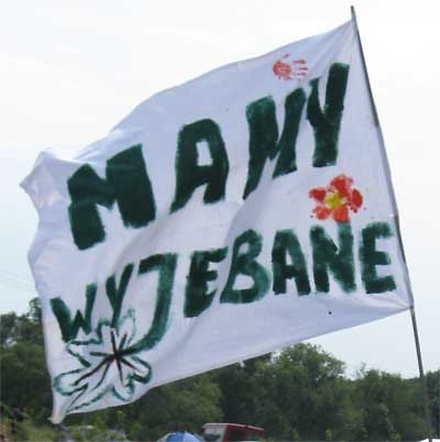M.W 100%