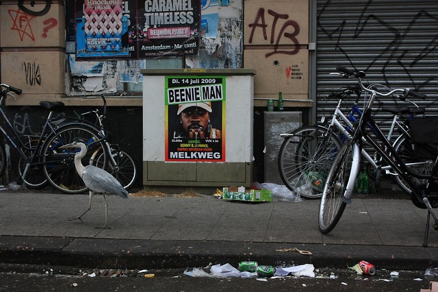hemonylaan amsterdam