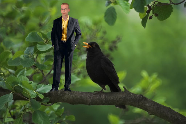 Lubie przesiadywa na drzewie :D