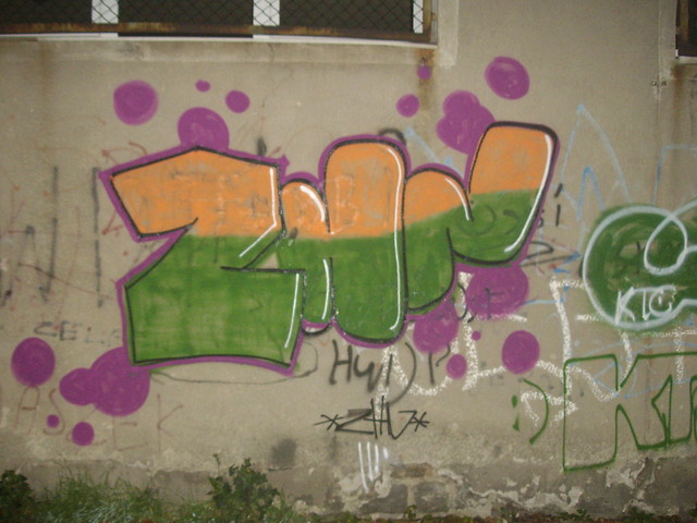 ZHN