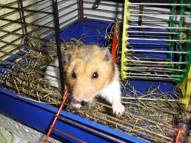 Franek;)