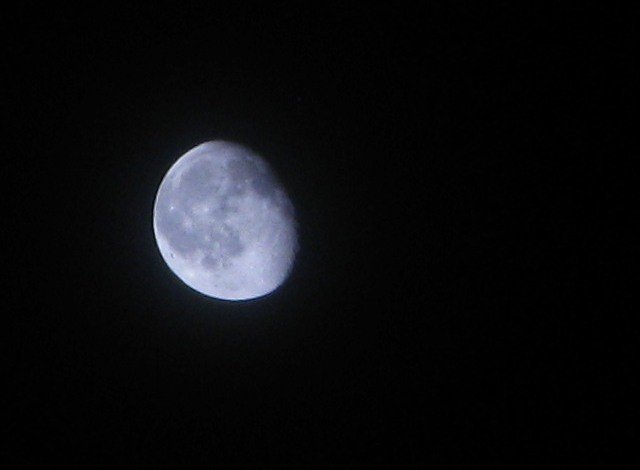Bella luna