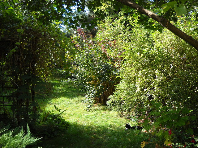 Secret Garden