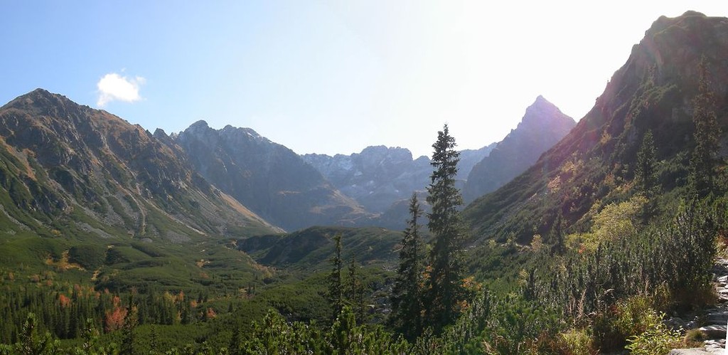 Panoramicznie