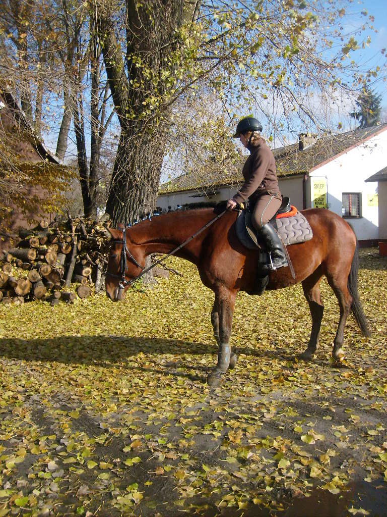 Bo licie gryz!! ^^