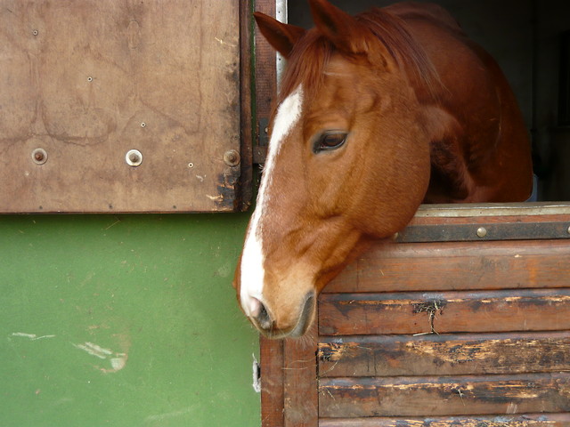 Michciu!:D