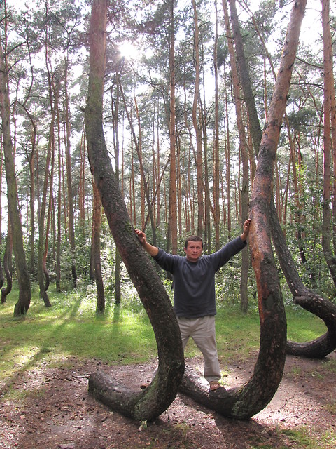 BAJKOWY LAS???
