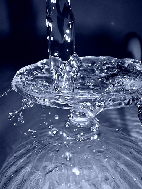 the water..