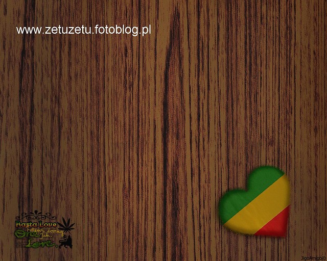ZetuZetu na prezydenta.