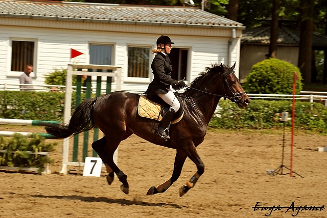 Canter...