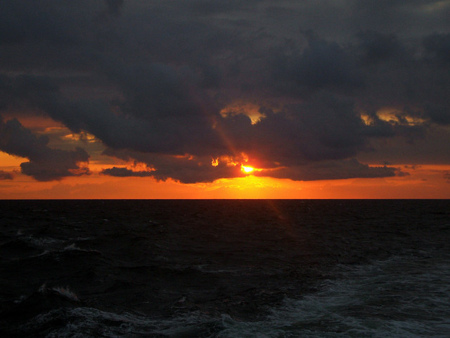 mare.