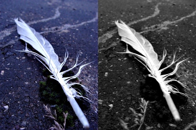 tundra.