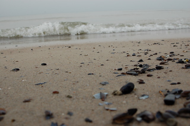 Koobrzeg 06 XII 2009