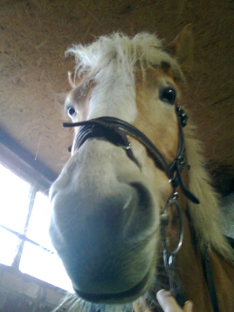 Liuowo ;***
