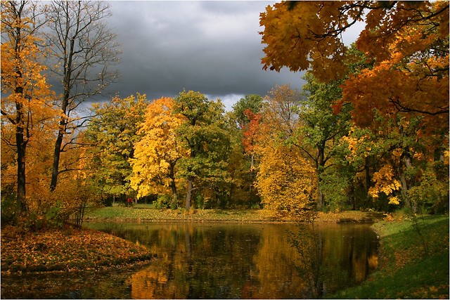 cedrowy pokoj