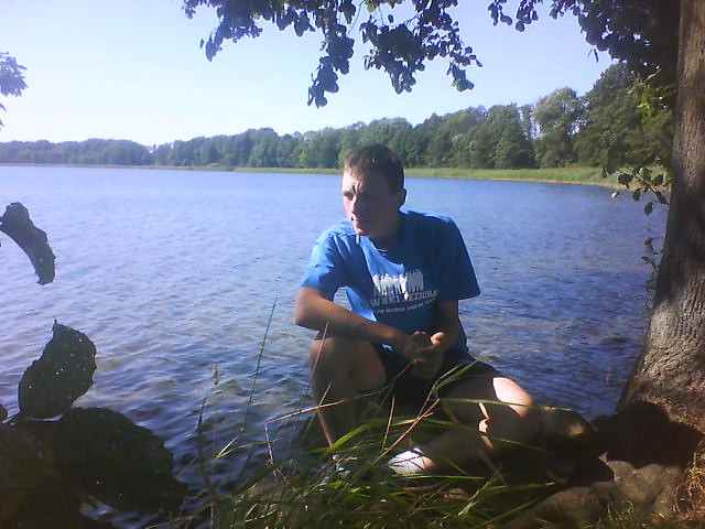 Skarlin 2009 
