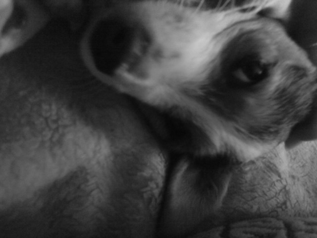 Laki < 3