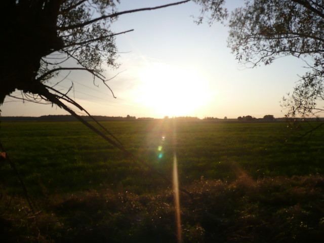 The sun goes down.